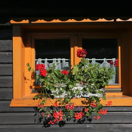 Drevenica Pod Lánom Casa vacanze *