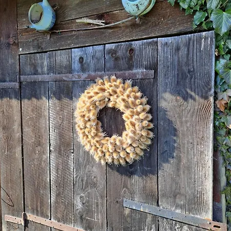 Drevenica Pod Lánom